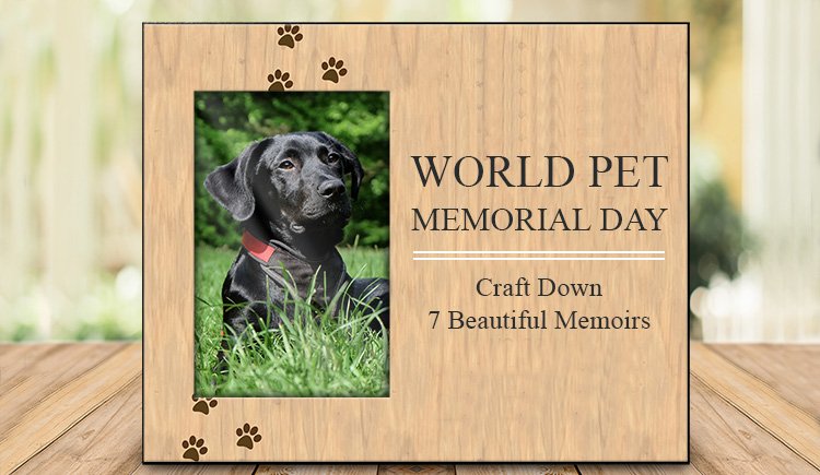 World Pet Memorial Day – Craft Down Seven Beautiful Memoirs