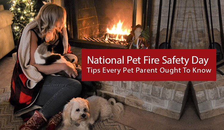 National Pet Fire Safety Day: Tips Every Pet Parent Ought To Know