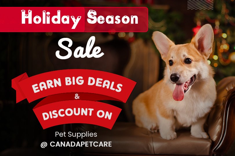 2022 Holiday Season Sale – Earn Big Deals & Discounts on Pet Supplies @CanadaPetCare