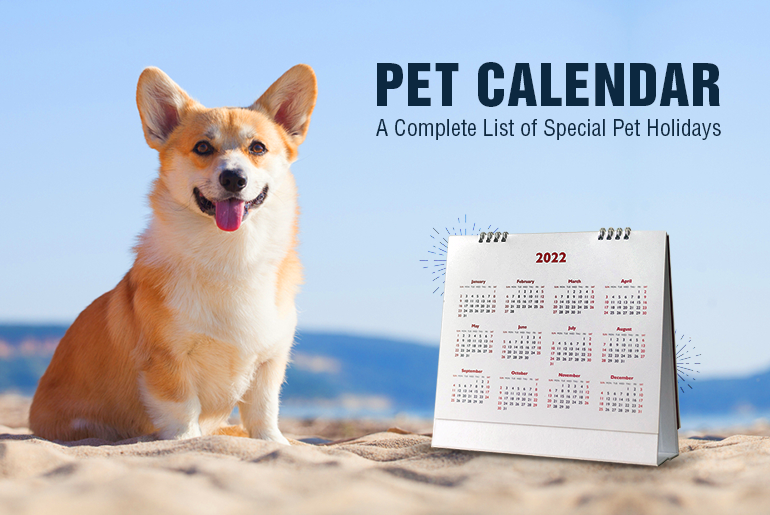 Pet Holidays 2022: Calendar Every Pet Lovers Must Have