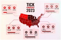 Tick Forecast 2023: It’s Summer Time! Don't Let Your Pet Become A Flea & Tick Host