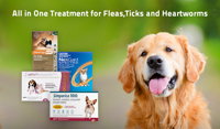 Top 4 All in One Treatments for Fleas, Ticks and Heartworms in 2024