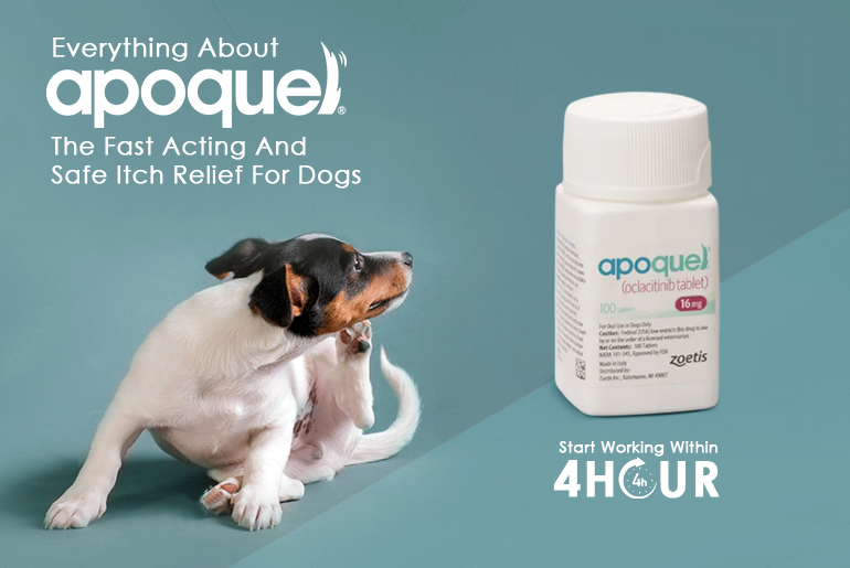 apoquel-buy-apoquel-for-dog-at-lowest-price-petcareclub