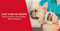 Chip Your Pet Month 2023: All You Need to Know About Microchipping