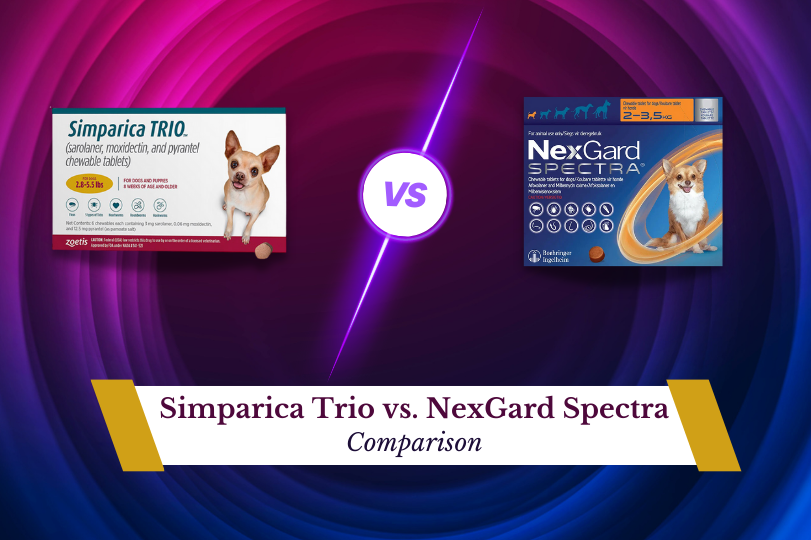 Simparica Trio vs. NexGard Spectra: 2023 Comparison