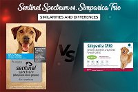 Sentinel Spectrum vs. Simparica Trio - Similarities and Differences