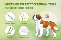 Unleashing the Best Tick Removal Tools for Your Furry Friend