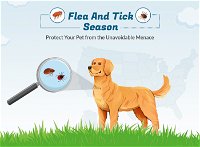 Flea & Tick Season: Protect Your Pet from the Unavoidable Menace