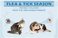 Flea &amp; Tick Season: Protect Your Pet from the Unavoidable Menace