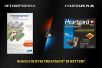 Interceptor Plus Or Heartgard Plus – Which Worm Treatment is Better?