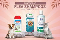 Benefits of Flea Shampoos on Pets