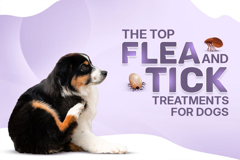 best budget flea treatment for dogs