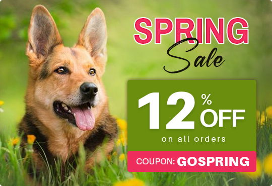 Treat a dog outlet coupons