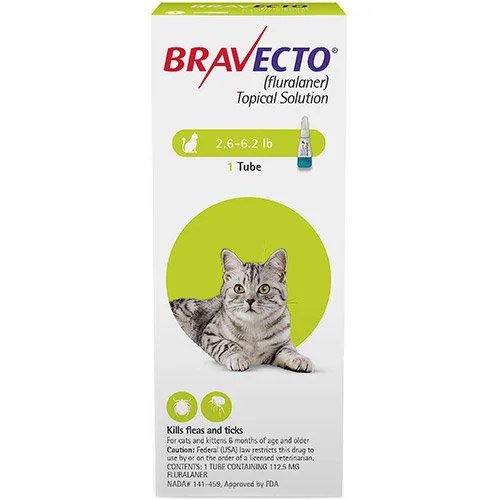 Bravecto Spot On For Cats Bravecto Spot On Treatments For Cats