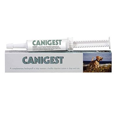 Canigest Oral Paste for Dogs & Cats