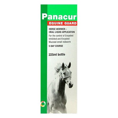 Panacur Equine Guard for Horses