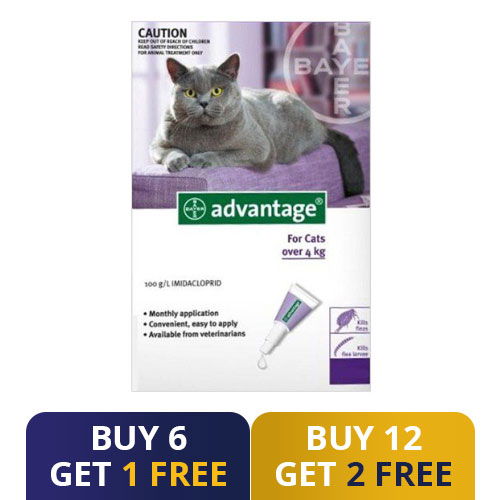 Best price hot sale advantage for cats