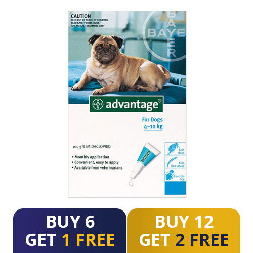 Best price 2025 advantage for dogs