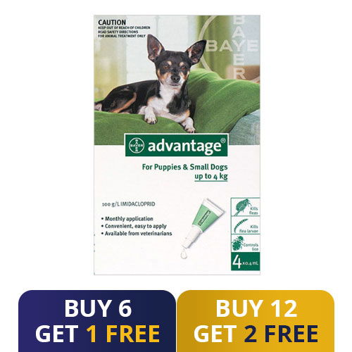 Buy advantage flea outlet treatment online