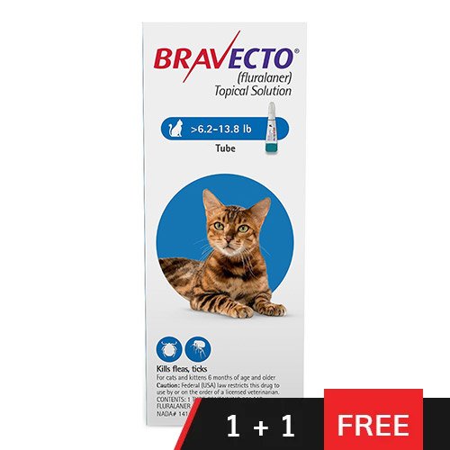 Bravecto Spot On for Medium Cats 6.2 lbs - 13.8 lbs