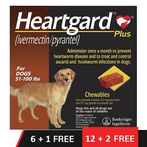 Heartgard Plus Chewables for Large Dog 51-100lbs (Brown)