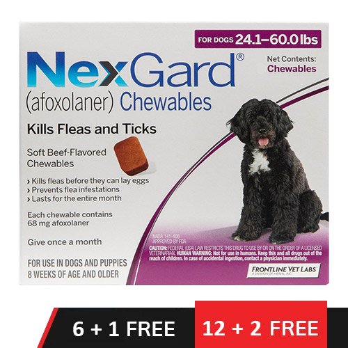 Nexgard Chewables for Large Dogs 24.1-60 lbs (Purple) 68mg
