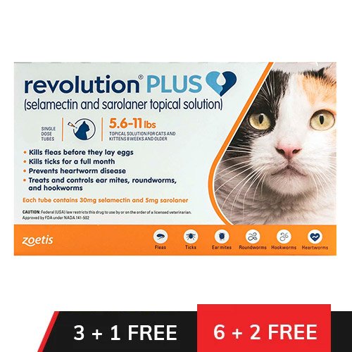 Revolution Plus for Medium Cats 5.5-11lbs (2.5-5Kg) Orange