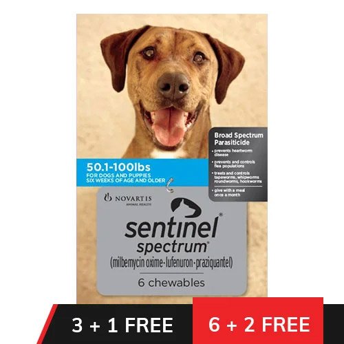Sentinel Spectrum Chews  Blue for Dogs 50.1-100 lbs