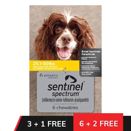 Sentinel Spectrum Chews  Yellow for Dogs 25.1-50 lbs