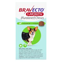 Bravecto 1-month Chew for Medium Dogs 22-44lbs (Green)
