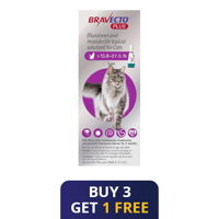 Bravecto Plus for Large Cats 500 mg (13.75 to 27.5 lbs) Purple