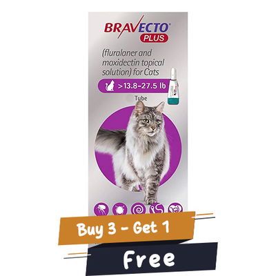 Bravecto Plus for Large Cats 500 mg (13.75 to 27.5 lbs) Purple