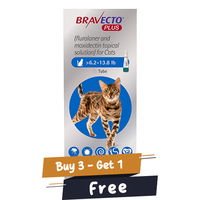 Bravecto Plus for Medium Cats 250 mg (6.2 to 13.75 lbs) Blue