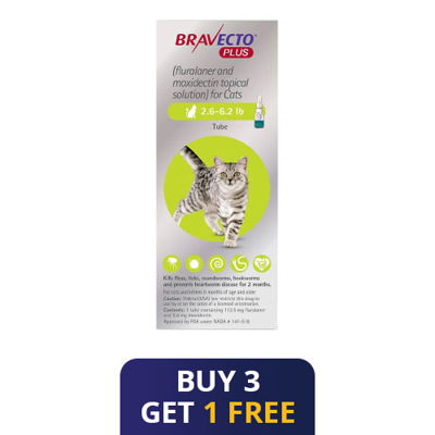 Bravecto Plus for Small Cats 112 mg (2.6 to 6.2 lbs) Green