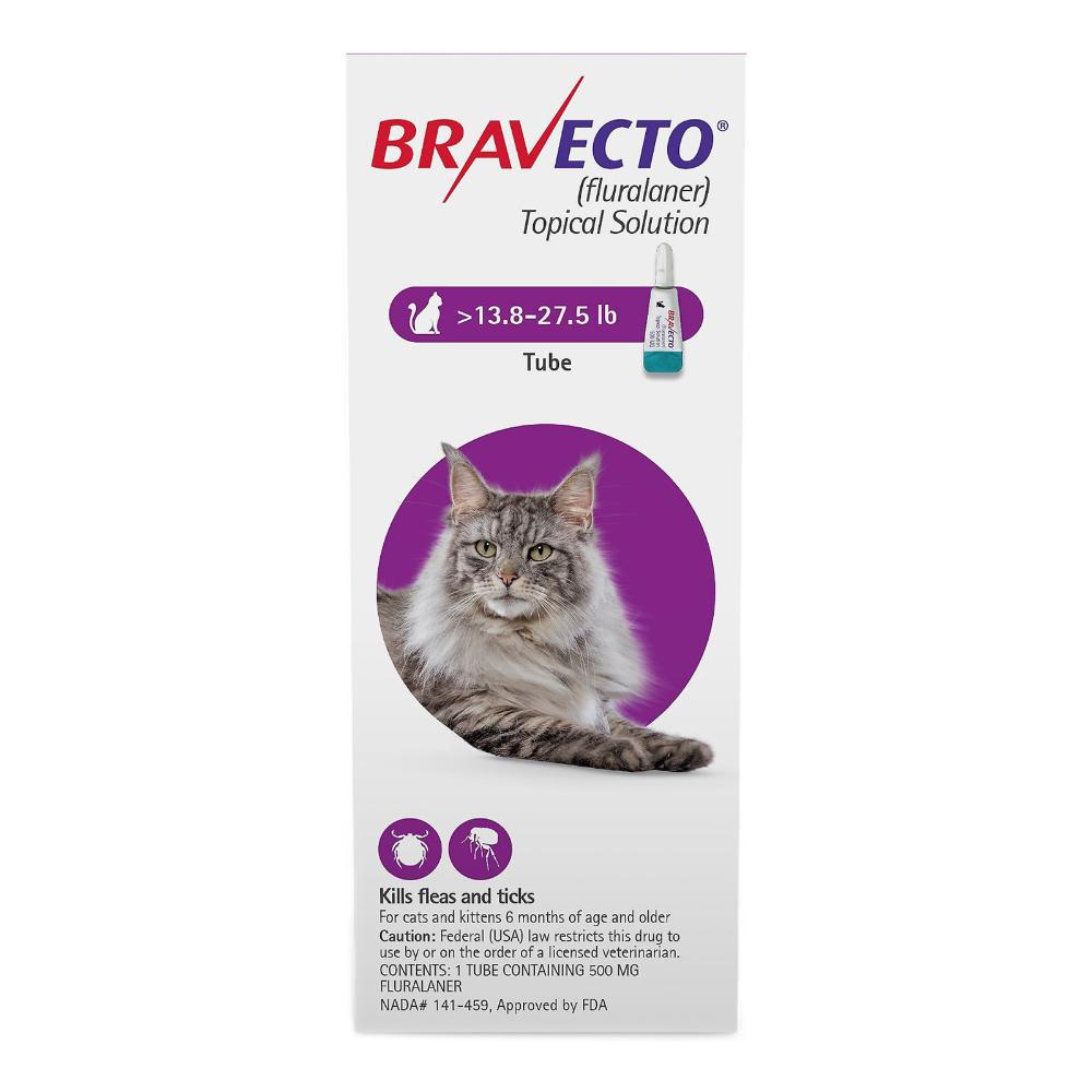 Bravecto spot 2024 on 6 months