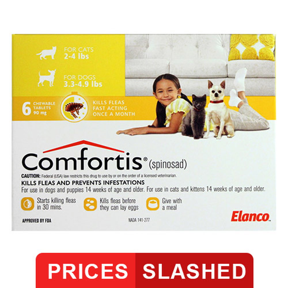 comfortis for cats