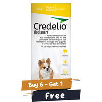 Credelio for Dogs 04 to 06 lbs (56.25 mg) Yellow