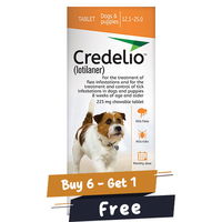 Credelio for Dogs 12 to 25 lbs (225mg) Orange