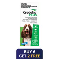 Credelio Plus For Large Dog 11-22kg (Green)