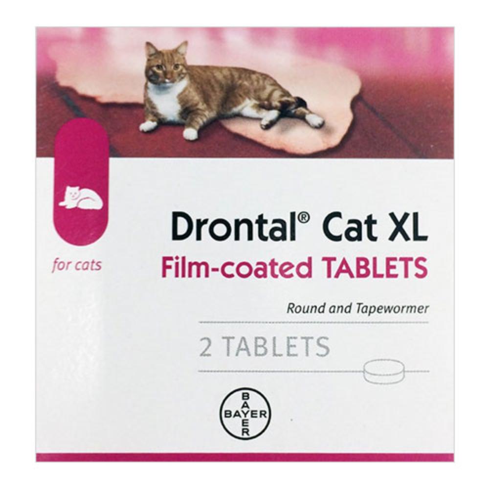 Drontal hotsell kitten wormer