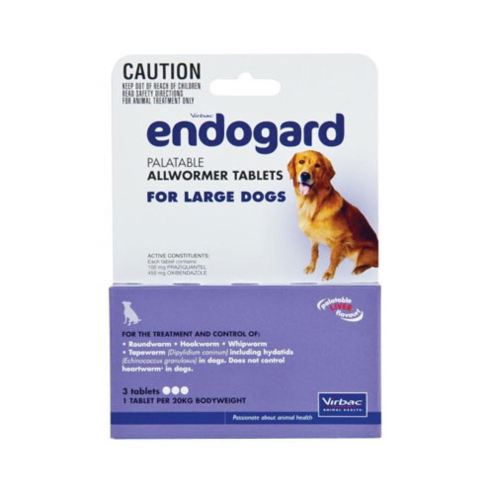 Echinococcus clearance treatment dogs