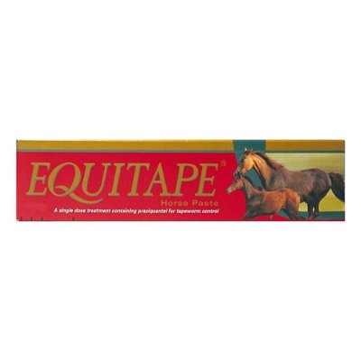 Equitape Wormer Paste 6.67 gm
