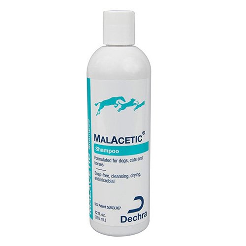 Dechra Malacetic Shampoo