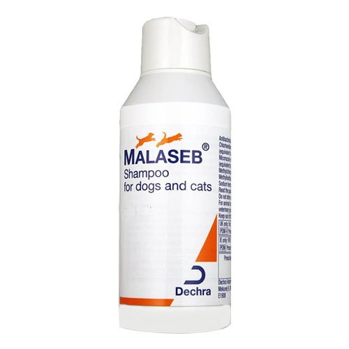 Malaseb Shampoo 250 mL