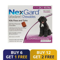 Nexgard Chewables for Large Dogs 24.1-60 lbs (Purple) 68mg