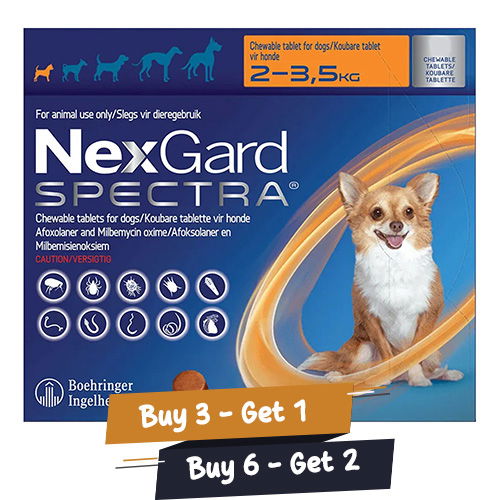 Buy Nexgard Spectra For Xlarge Dogs 66 132 Lbs Red Free Shipping