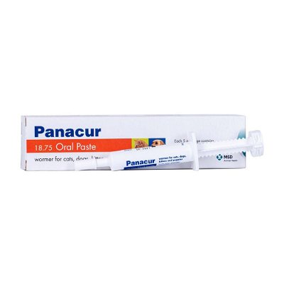 Panacur Oral Paste for Dogs/Cats