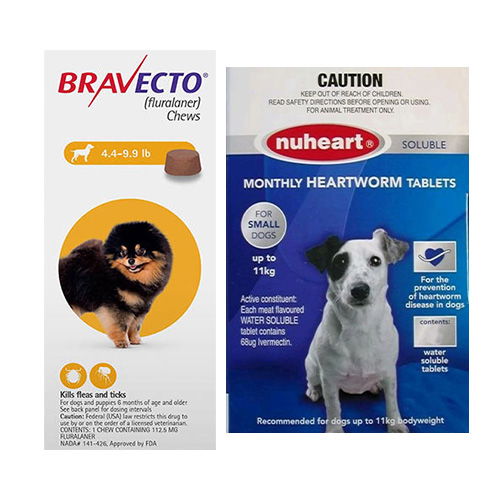 Bravecto medium dog outlet green