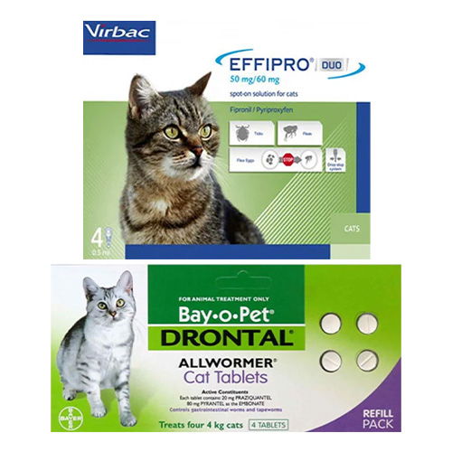 Troncil store for cats