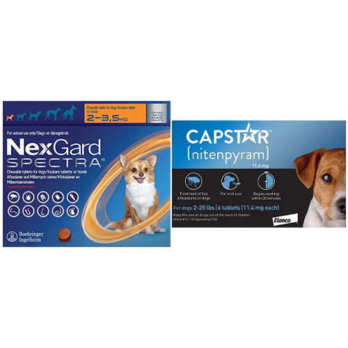 Nexgard spectra chewable shop tablets for dogs